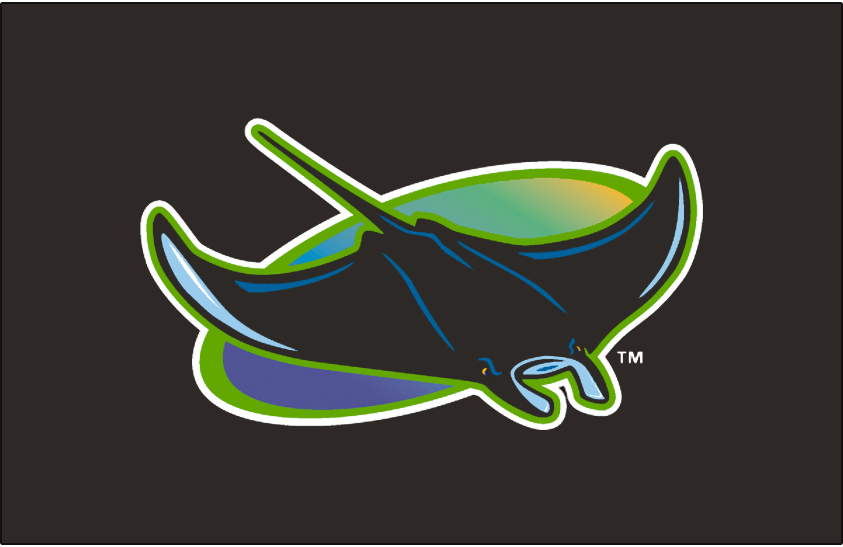 Tampa Bay Devil Rays 1998-2000 Cap Logo iron on transfers for fabric version 2